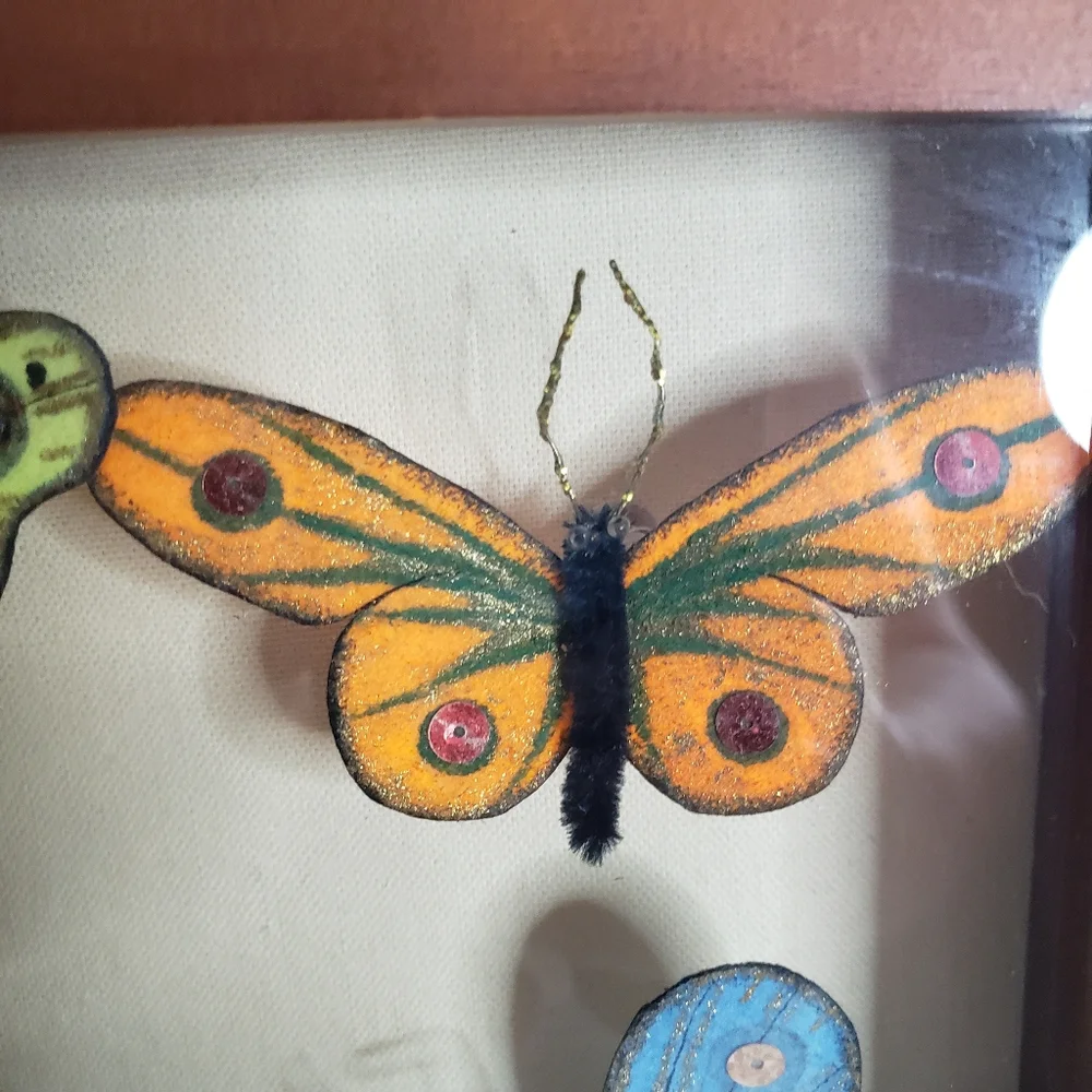Butterflies arranged in a shadow box. 214